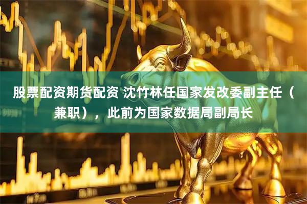 股票配资期货配资 沈竹林任国家发改委副主任（兼职），此前为国家数据局副局长